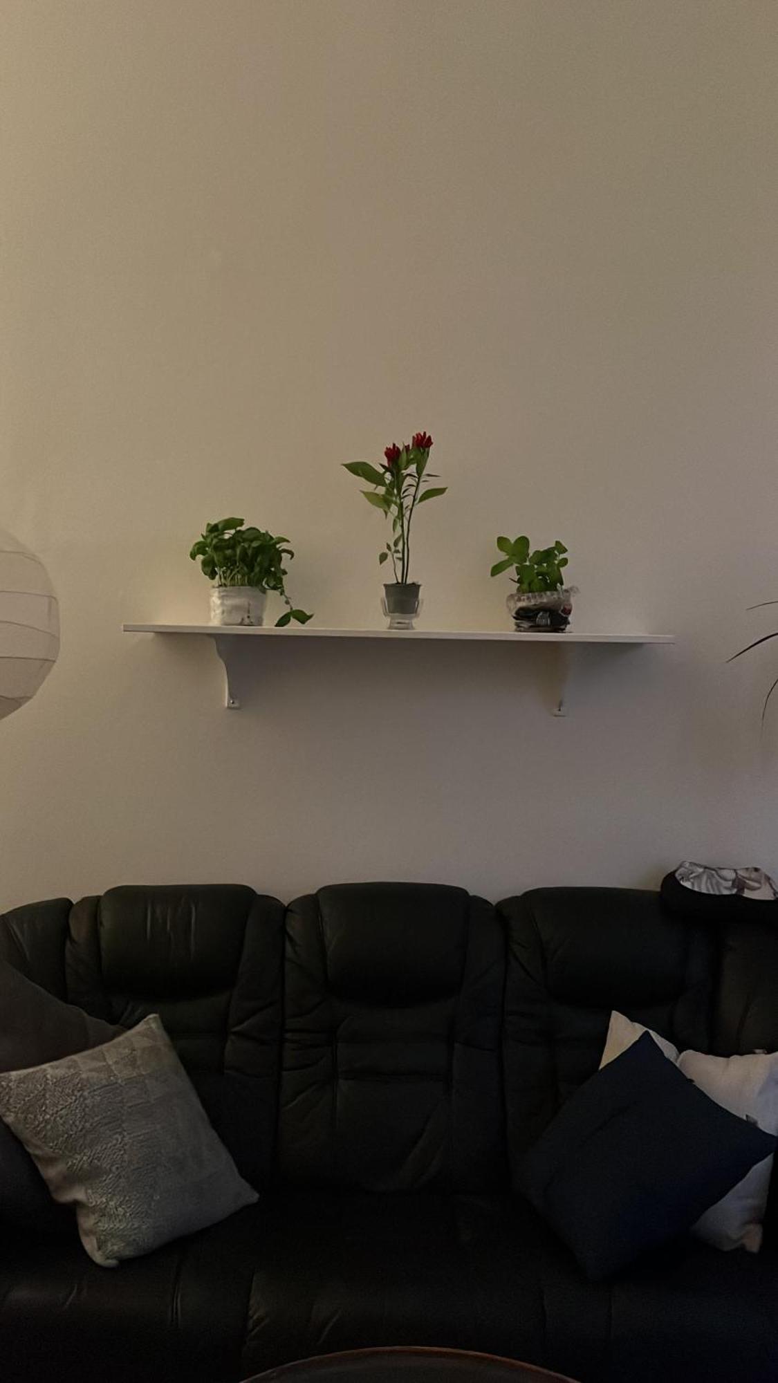 Apartmán Retro In Praha